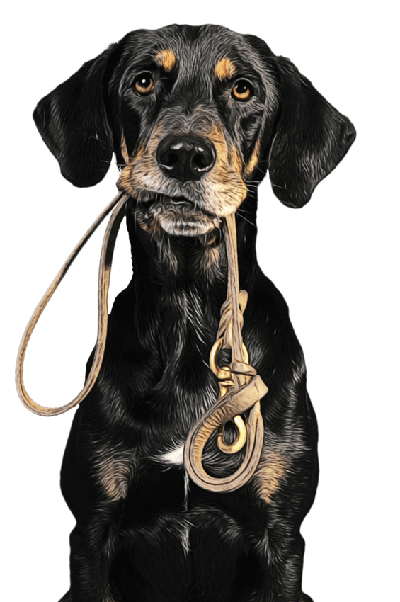 Dayanıklı Kayışlar